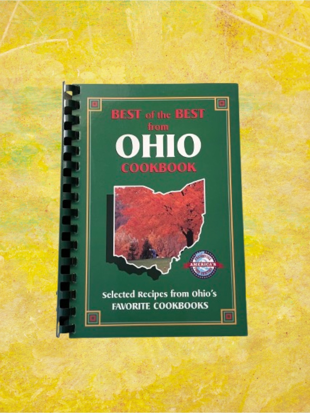 Vintage 1996 Best of The Best Ohio cookbook state recipes